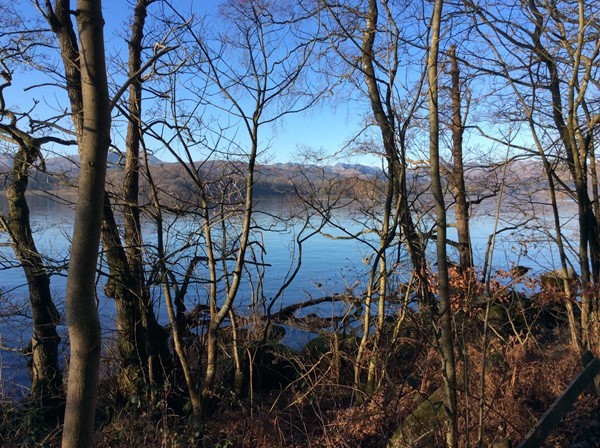 Picture of Brockhole The Lake District Visitor Centre