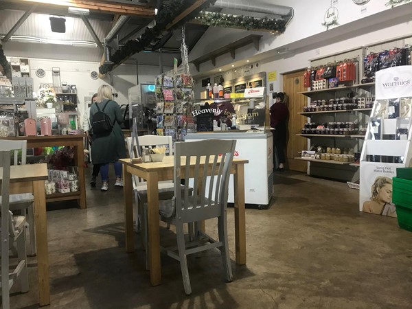 Image of more of the tables in the cafe and the cafe counter.