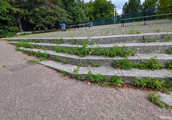Image of seating area with graduated steps