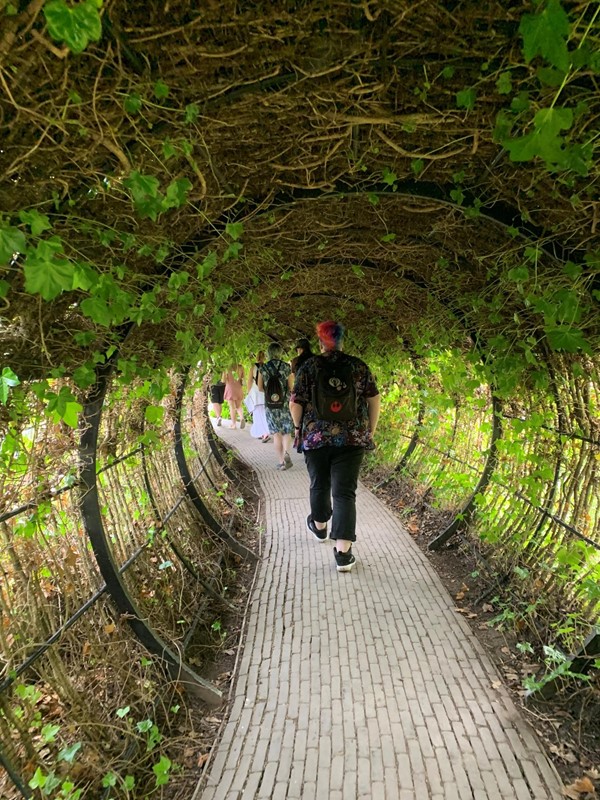 Pathway through ivy tunnel