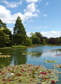 Burnby Hall Gardens & Museum