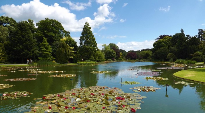 Burnby Hall Gardens & Museum