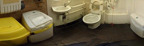 Picture of Southwark Cathedral - Accessible toilet bins