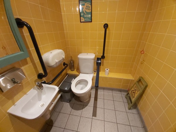 Picture of an accessible toilet