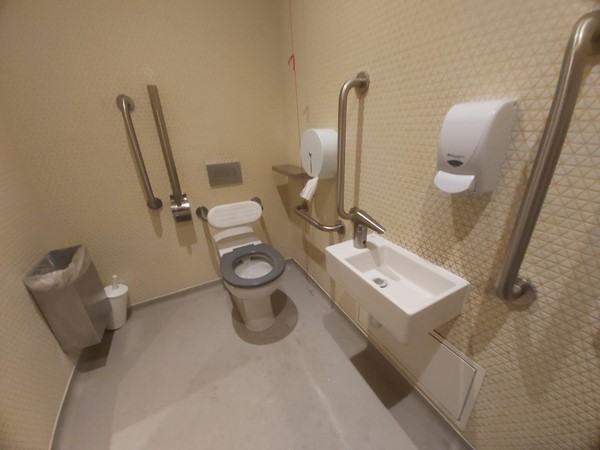 Accessible toilet