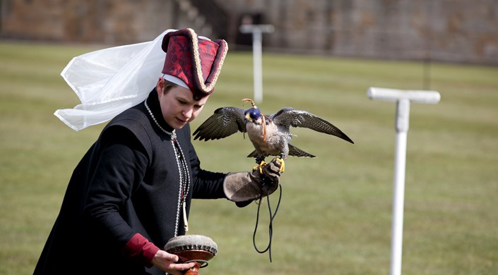 Raphael Falconry