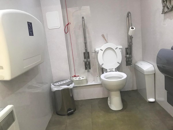 Image of the accessible toilet.