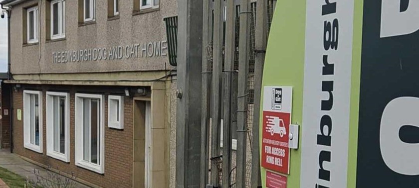 Edinburgh Dog and Cat Home