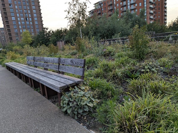 image of bench seating and plants