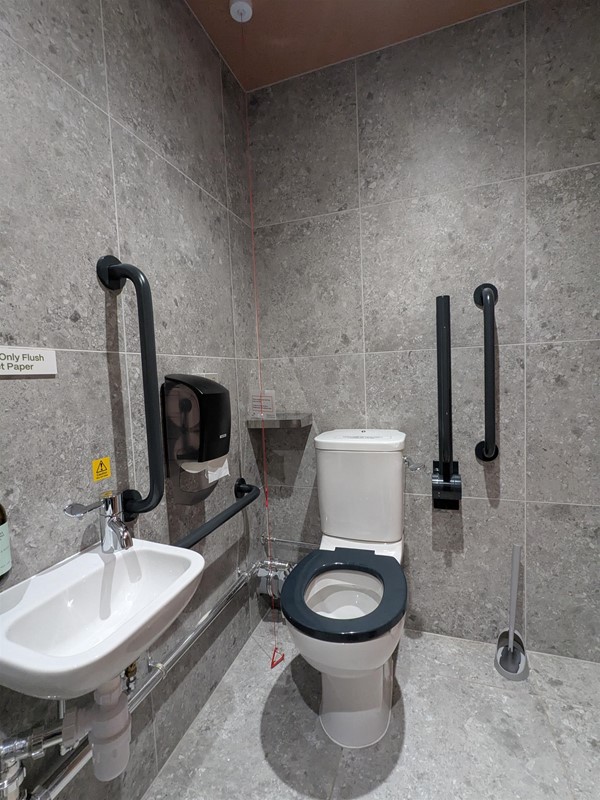 Image of accessible toilet