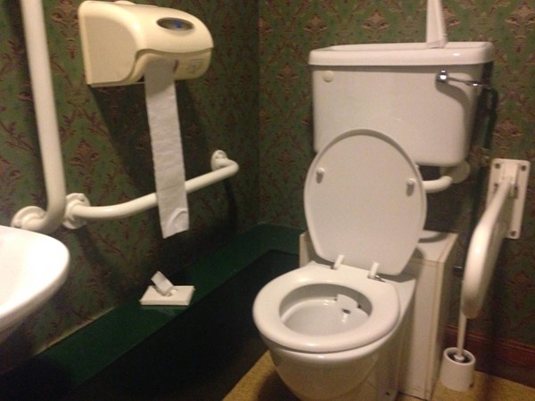 Picture of the Bothy Bar - Toilet - Accessible Toilets
