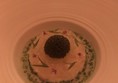 Fish course