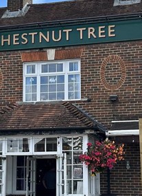 Chestnut Tree