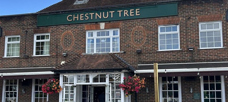Chestnut Tree