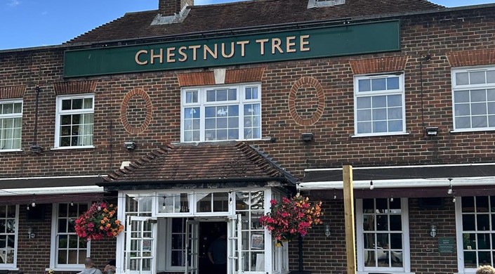 Chestnut Tree