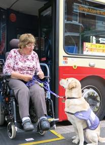 Brighton & Hove Buses