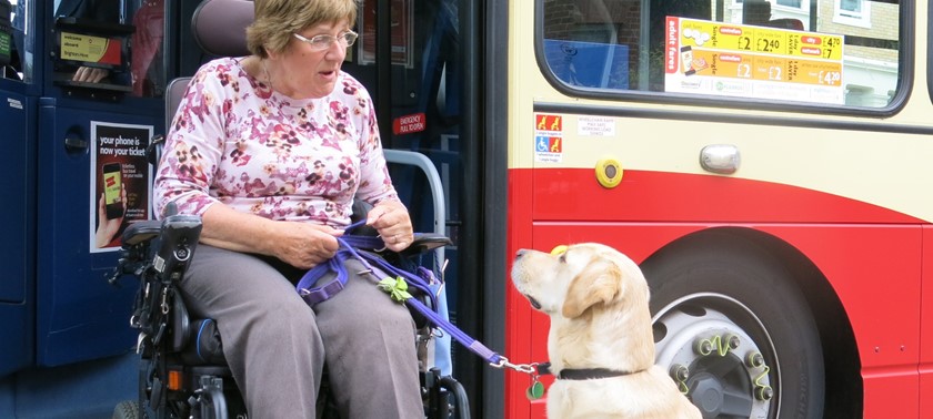 Brighton & Hove Buses