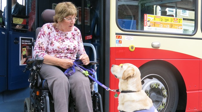 Brighton & Hove Buses