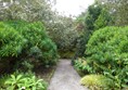 Picture of a path in a garden