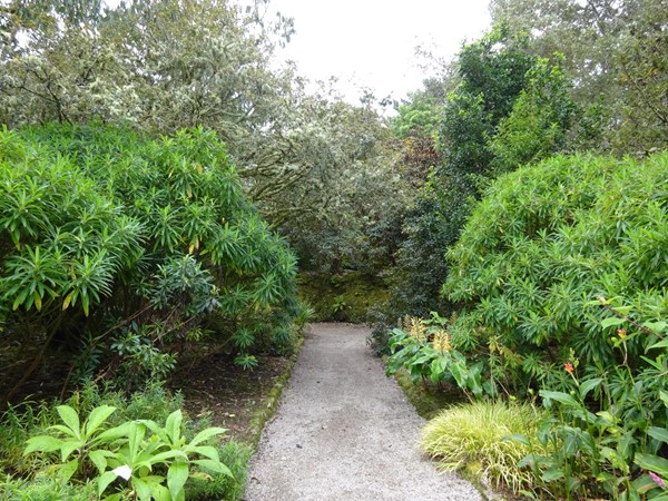 Picture of a path in a garden