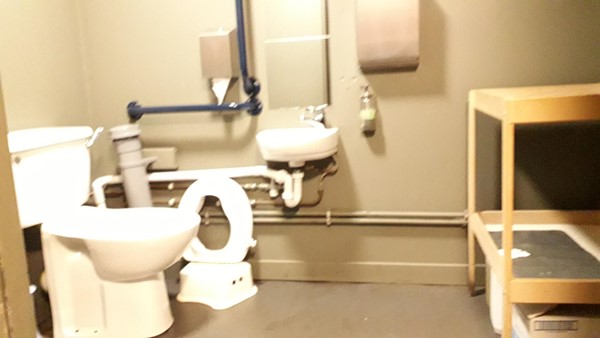 Picture of The Bungo Bar & Kitchen's accessible toilet