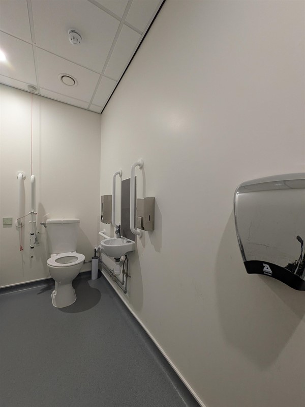Image of toilet and sink in the accessible toilet