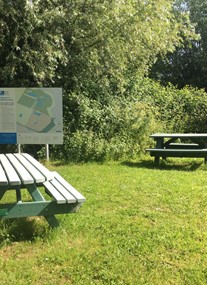 RSPB Greylake