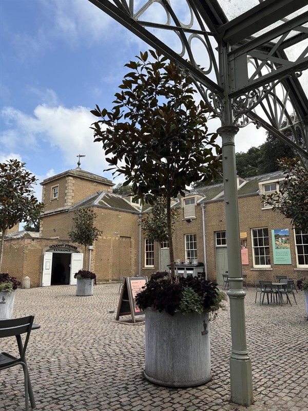 Image of planters in a courtyard