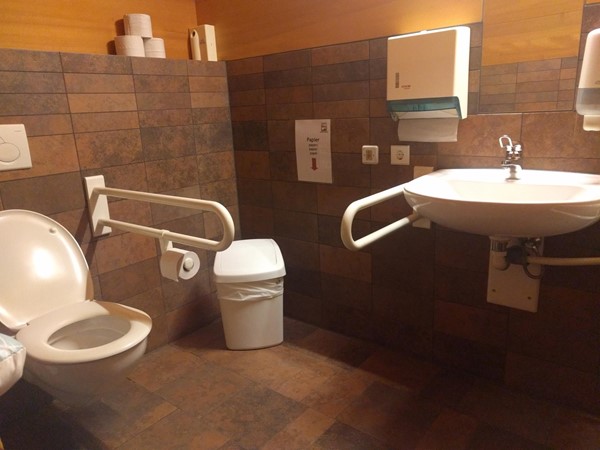 Accessible Toilet