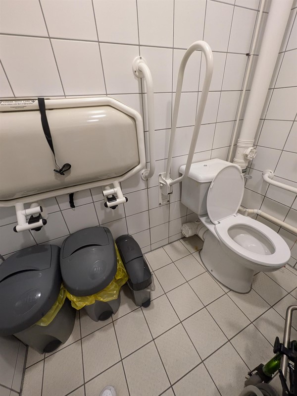 Image of toilet and baby change in Changing Places toilet