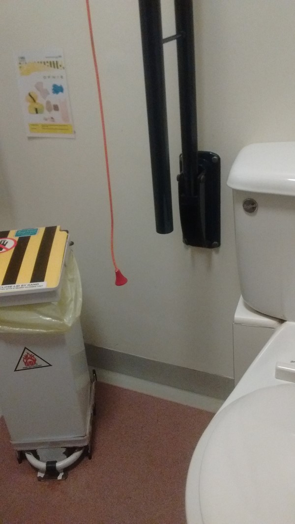 Stroud General Hospital - Disabled loo red cord