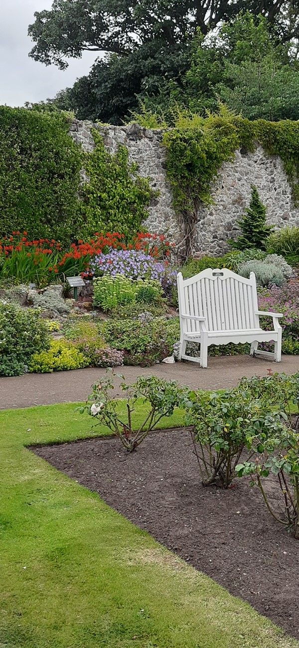 Lodge Grounds