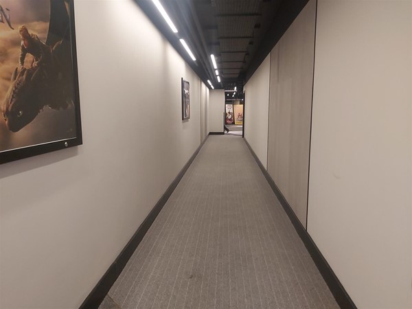 Image of a hallway with a carpeted floor