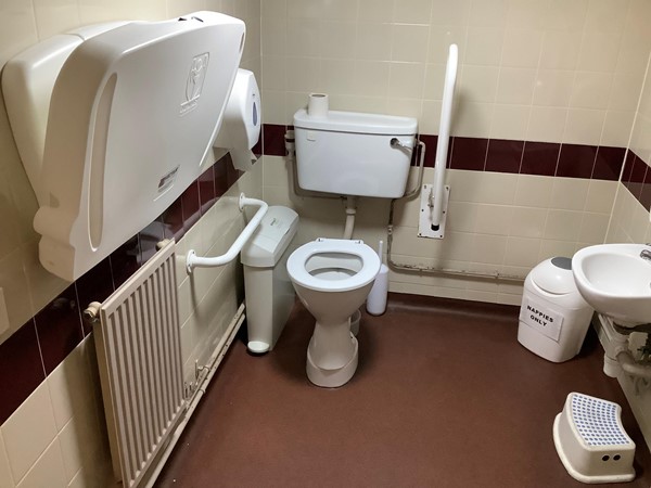 Picture of The Nailers Arms accessible toilet