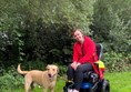 Freedom One Life Powerchair