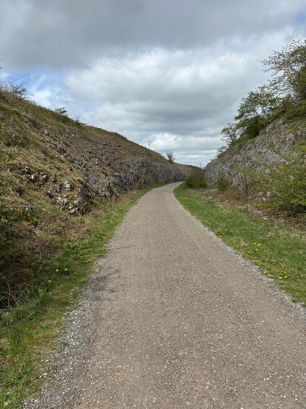 Image of a pathway