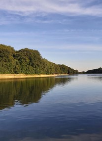 Roundhay Park