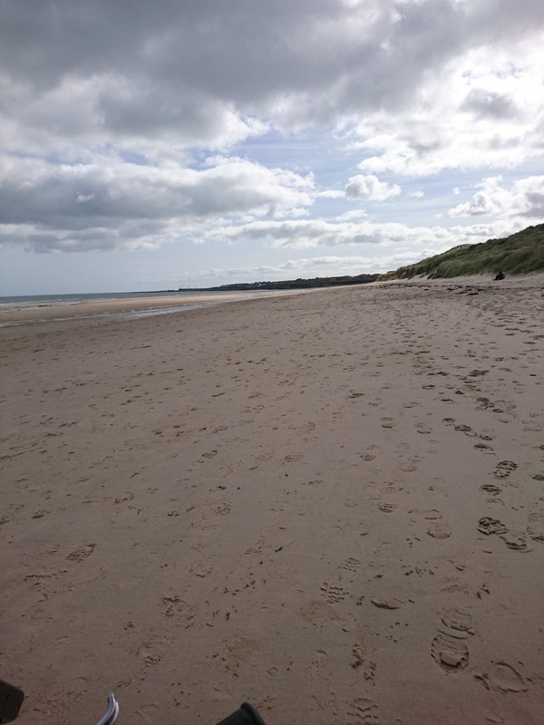 Picture of St Aidan's Dunes