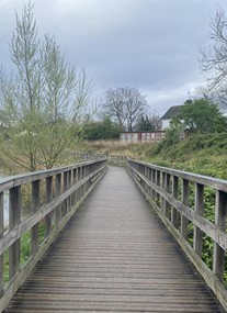 Woodberry Wetlands - London Wildlife Trust