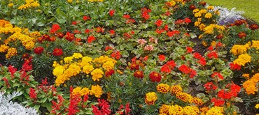 Bank Street Gardens