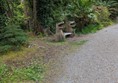 A very cool dinosaur bench

a wooden bench with a dinosaur's head carved at each end. It is surrounded by sub-tropical plants and trees. It is at the side of a dark grey gravel path.