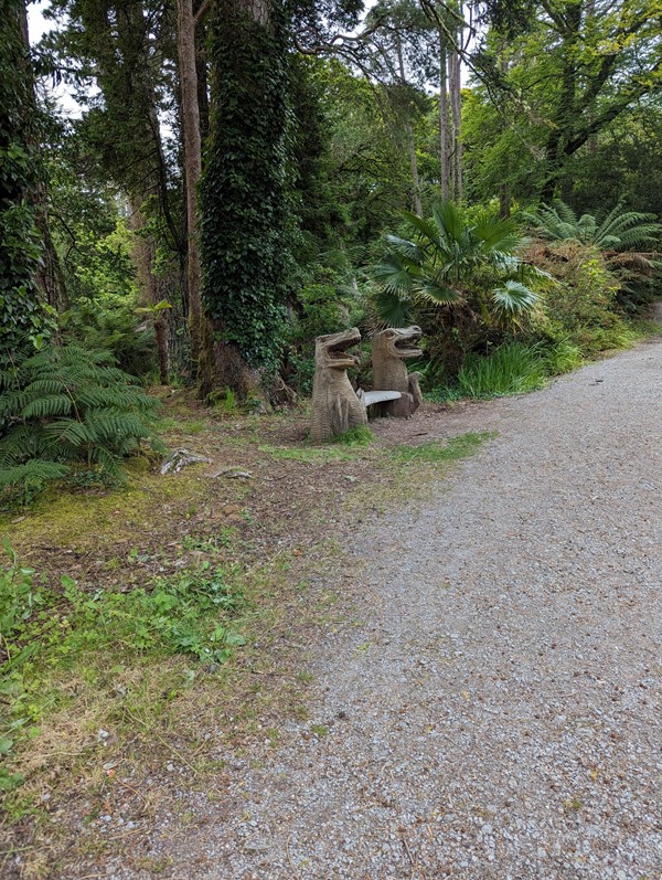 A very cool dinosaur bench

a wooden bench with a dinosaur's head carved at each end. It is surrounded by sub-tropical plants and trees. It is at the side of a dark grey gravel path.