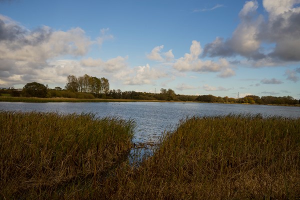 View from main hide