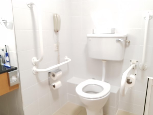 Good rails for the loo