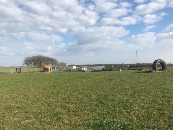 Image of the dog park field.