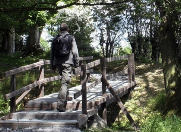 Image of a person on a wooden bridge