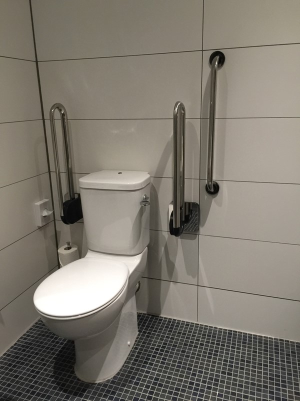 The public accessible toilet