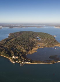 Brownsea Island