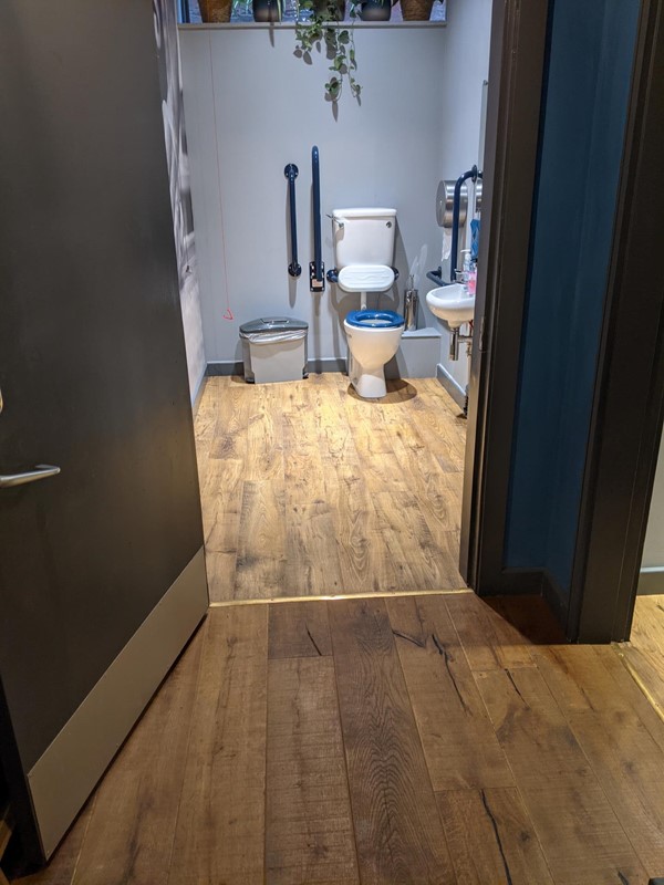 Picture of an accessible toilet