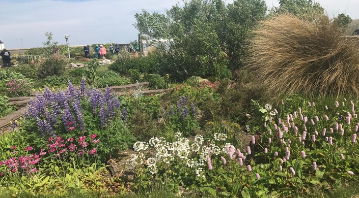 Nort Trow Community Garden